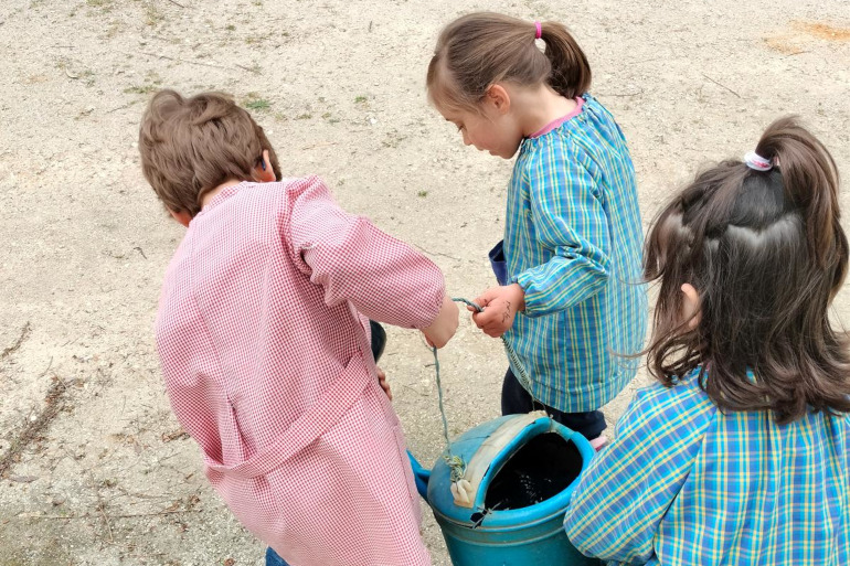 Pedagogia das Vinculações
